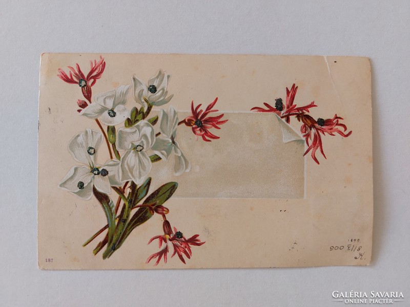 Régi képeslap 1900 levelezőlap virágok