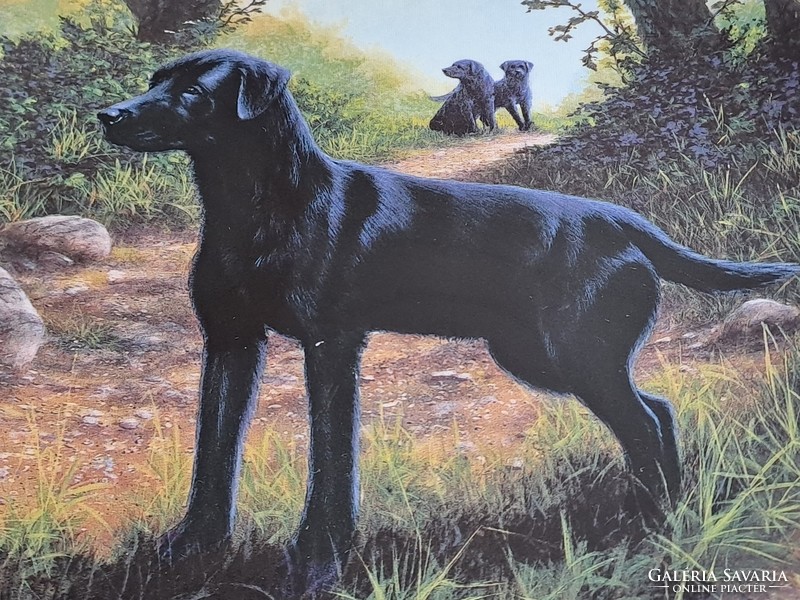 Wedgwood angol csontporcelán vintage dísztál fekete labradorok kutya 20 cm