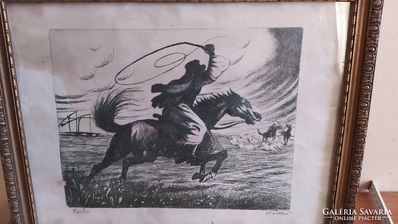 (K) rare etching colt (foal?) Signed