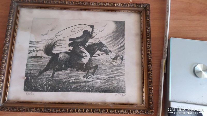 (K) rare etching colt (foal?) Signed