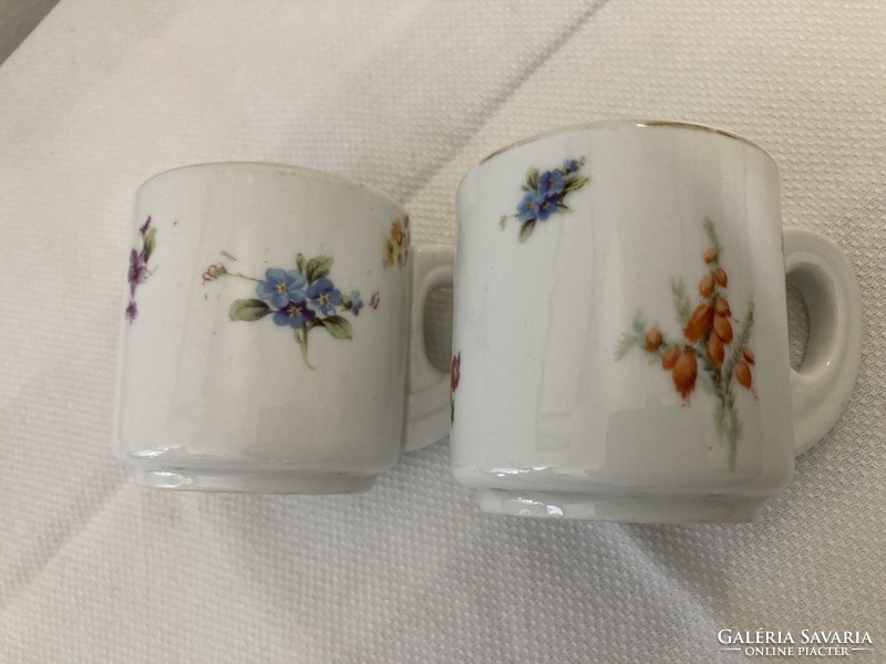 Pair of antique Schlaggenwald coffee cups