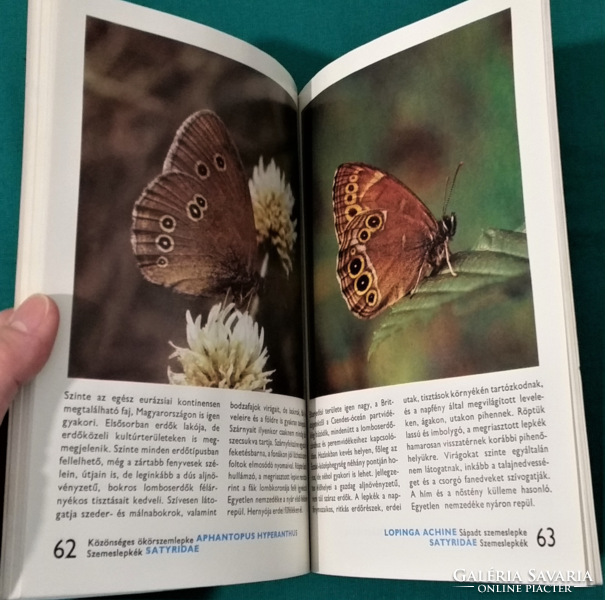 'Laszló Ronkay: about daytime butterflies'- > fauna > insects - 88 color pages
