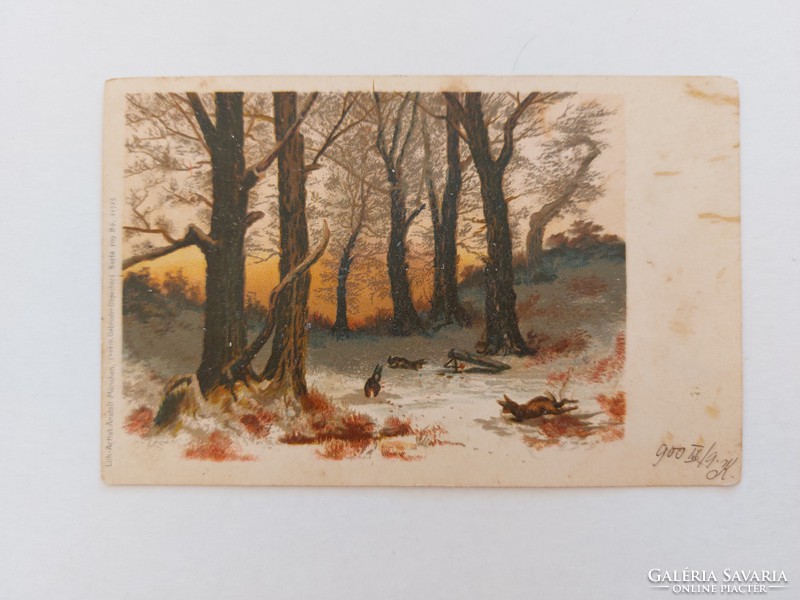 Régi képeslap 1900 levelezőlap tájkép erdő