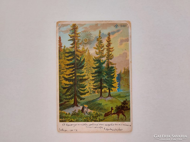 Régi képeslap 1900 levelezőlap tájkép fenyőerdő őzikék