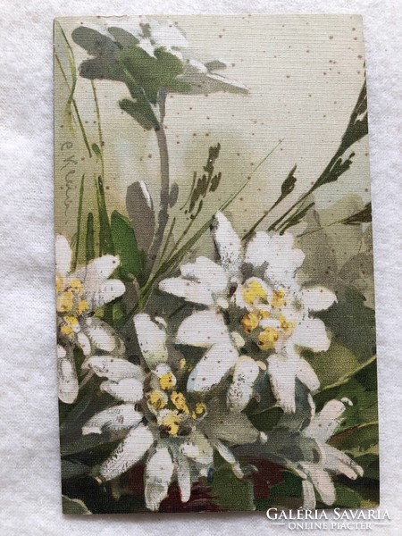 Antique chatarina klein floral postcard - post clean -5.