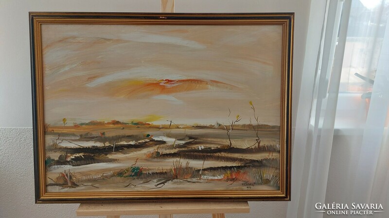 (K) beautiful signed landscape painting, with a mere 76x57 cm frame
