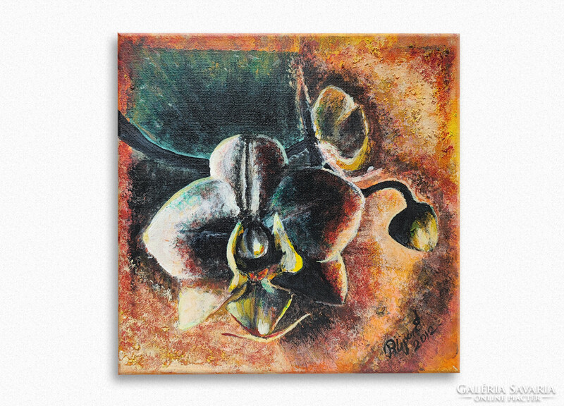 Pilipár éva: hiding acrylic painting, orchid, canvas 24x24 cm