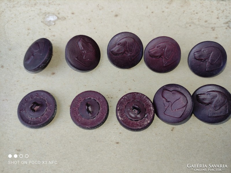 Vintage mid century genuine leather Vizsla dog head hunting button 450 pieces marked