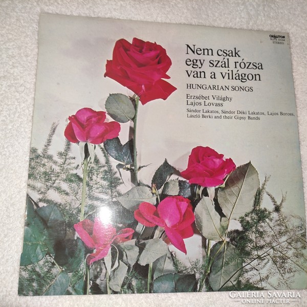 Nem csak egy szál rózsa vana  világon bakelit lemez, 1981 LP