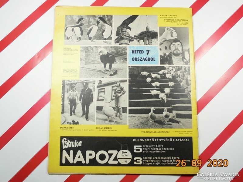 Régi retro újság - Nők lapja - 1980. május 24. - Születésnapra ajándék