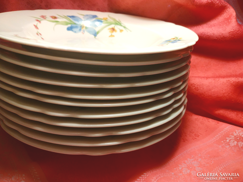 Seltmann Weiden 12 darab porcelán mély tányér
