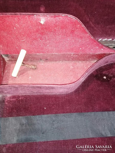 Citera, tokjában, Tiefenbrunner