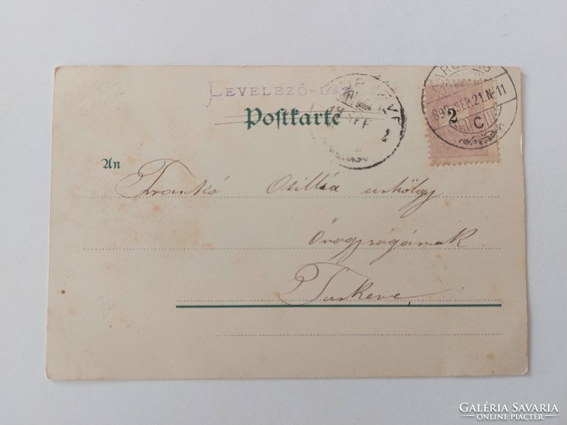 Régi virágos képeslap 1899 levelezőlap nefelejcs