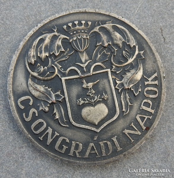 Csongrád - Csongrád days 19669 Máté istván/ medal 55 mm