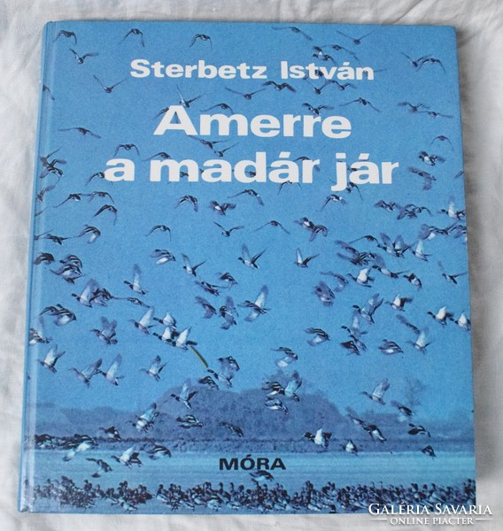 Where the bird goes istván sterbetz 1981 book