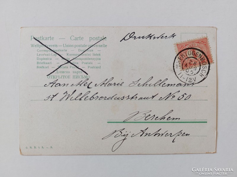 Régi képeslap 1905 művészeti levelezőlap