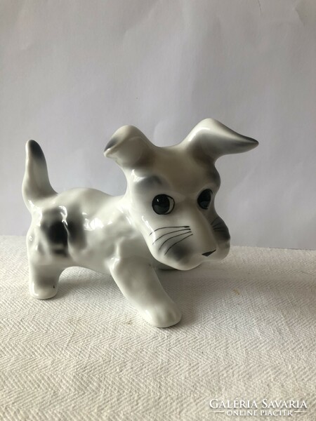 Cute doggy porcelain