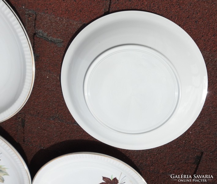 Set of 6 plates with autumn patterns