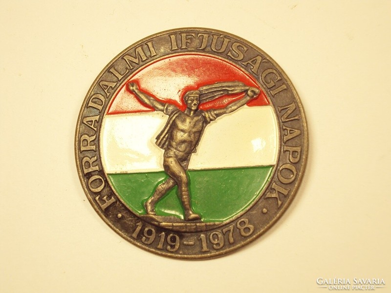 Revolutionary Youth Days 1919-1978 badge pin