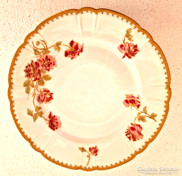 Limoges porcelain hand painted plate