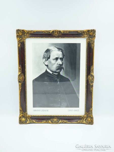 A photo depicting Janos Arany in a decorative carved frame
