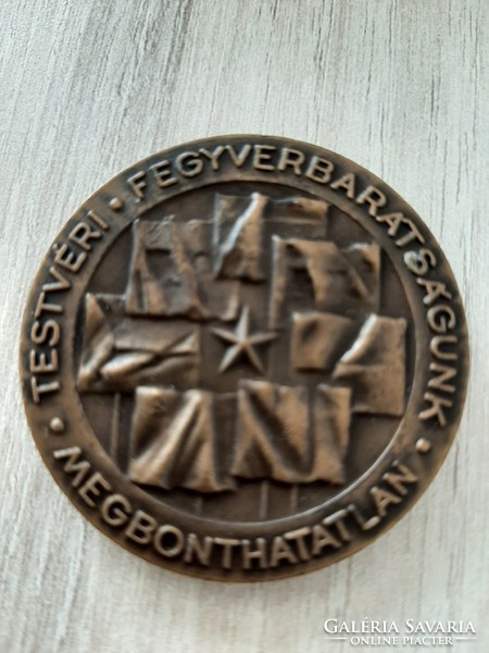 Our fraternal friendship in arms is an unbreakable military bronze commemorative medal
