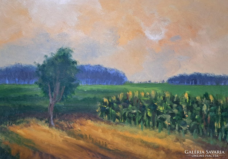 József Tímár: dusk - oil painting, contemporary painter