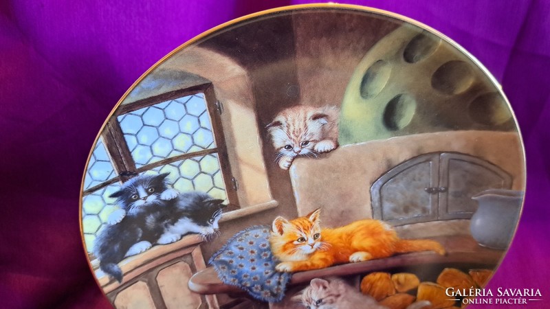 Kölyök cicás porcelán dísztányér, macskás falitányér 3 (L3567)