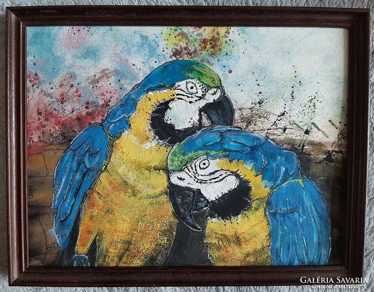 Papagáj pár-festmény keretezve