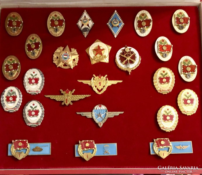 Badges of the Hungarian People's Army in a gift box