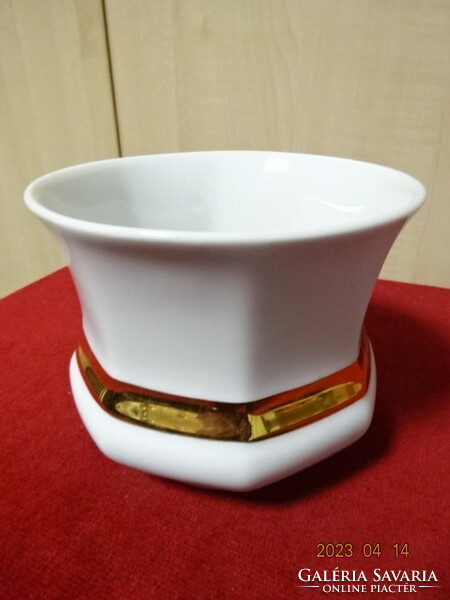 Wunsiedel Bavarian German porcelain bowl with gold stripe. Jokai.