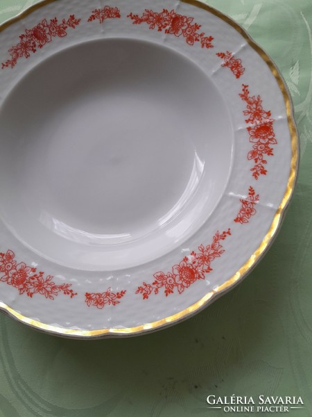 Beautiful old Czech plate