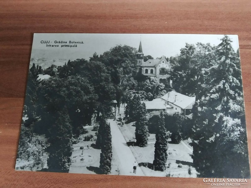 Kolozsvár, Botanikus kert, főbejárat, 1959-ből