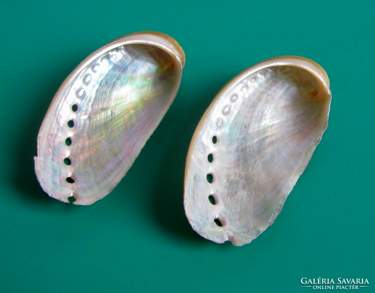 Mother-of-pearl - abalone - abalone shell - single-sided