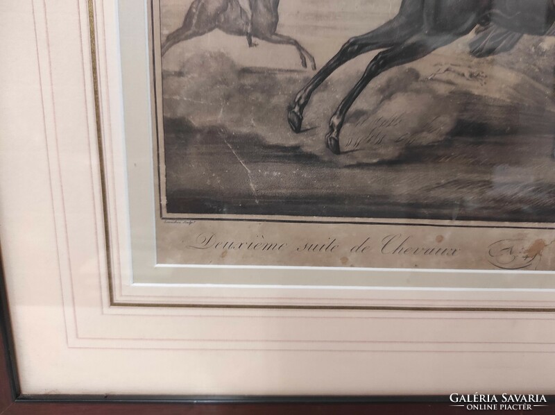 Antique French equestrian sport riding horse engraving 19th century in frame 888 7005