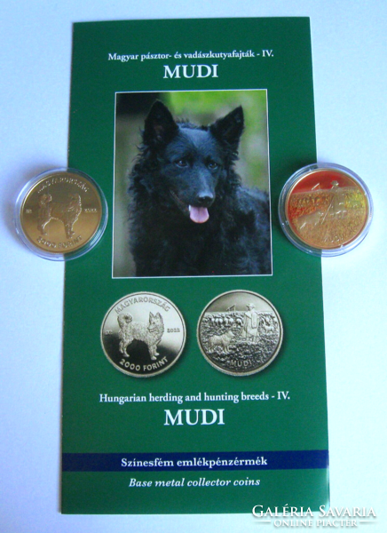 2022 - Mudi - the 4th member of the series - in a capsule - with a detailed description