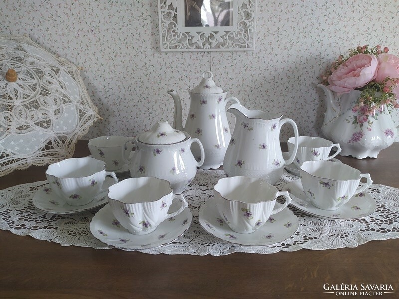 Beautiful tea/coffee set with a violet pattern