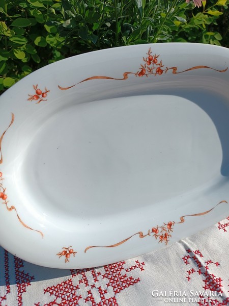 Alföldi porcelain bowl with rosehip pattern