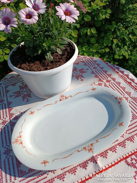 Alföldi porcelain bowl with rosehip pattern