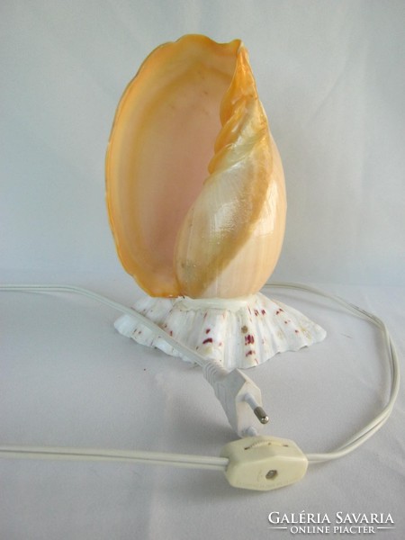 Sea shells lamp