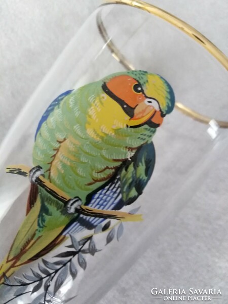 Dekorációs üveg pohár -  / papagáj