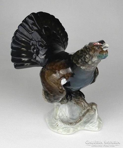 1L857 old marked fritz heidenreich rosenthal grouse bird