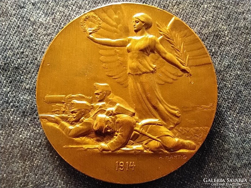I. Ferenc József bronz háborús emlékérem 1914 A HARTIG R NEUBERGER 55mm 57,56g (id77675)