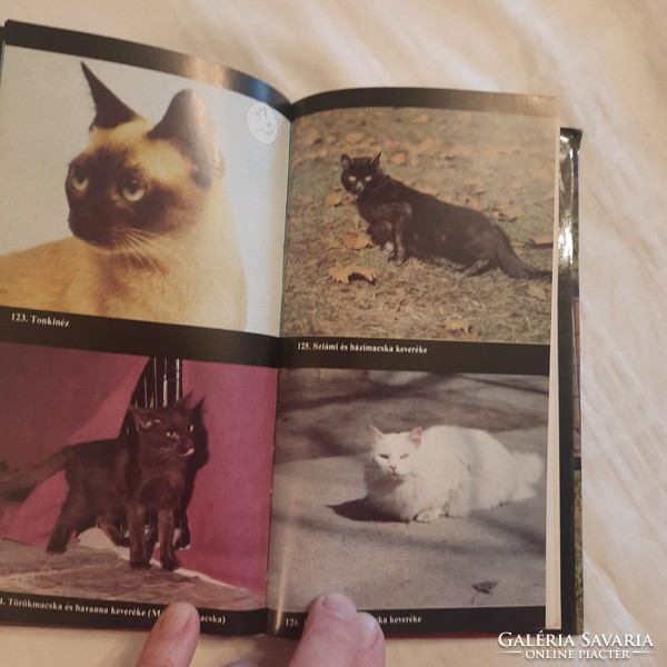 János Szinák - István Veress: cat guide idea 1989