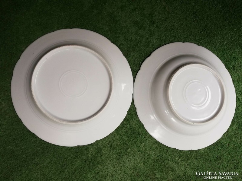 Pair of antique dallwitz porcelain plates 1840 -1850