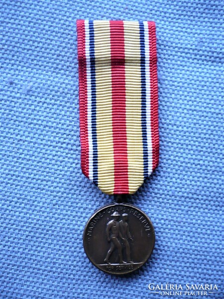 US Marine Service Medal Vietnam