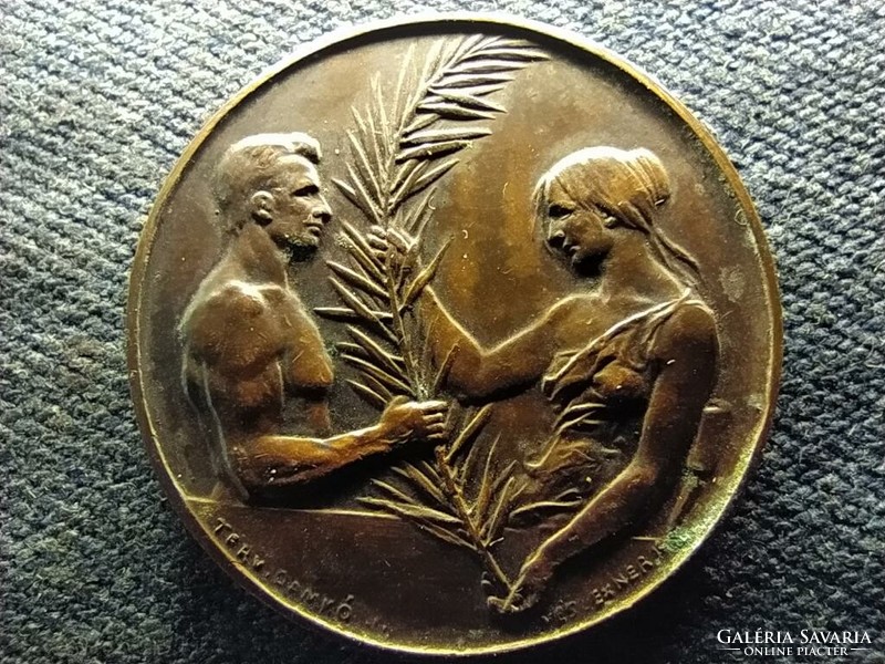 Magyar Országos Torna Szövetség bronz érem 45mm (id70339)
