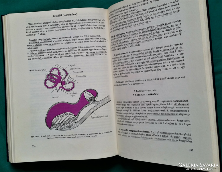 'Dr. Tibor Donáth: anatomy-physiology - medical textbook, third edition 1986 in leather binding