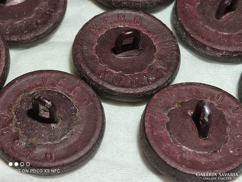 Vintage mid century genuine leather Vizsla dog head hunting button 450 pieces marked