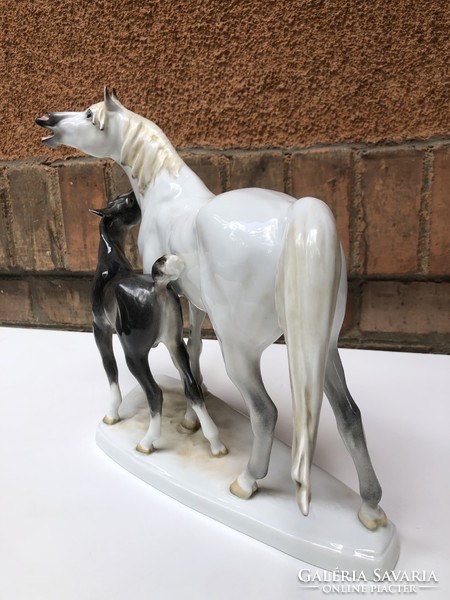 Herend foal with her mother / horse foal with rare beautiful painting